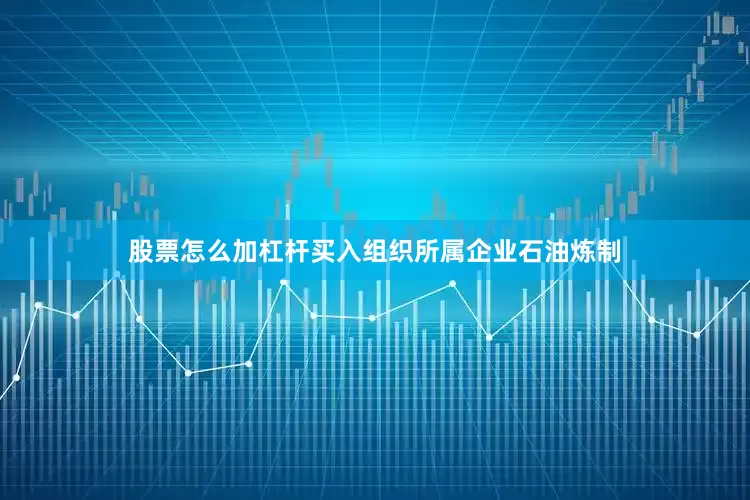 股票怎么加杠杆买入组织所属企业石油炼制