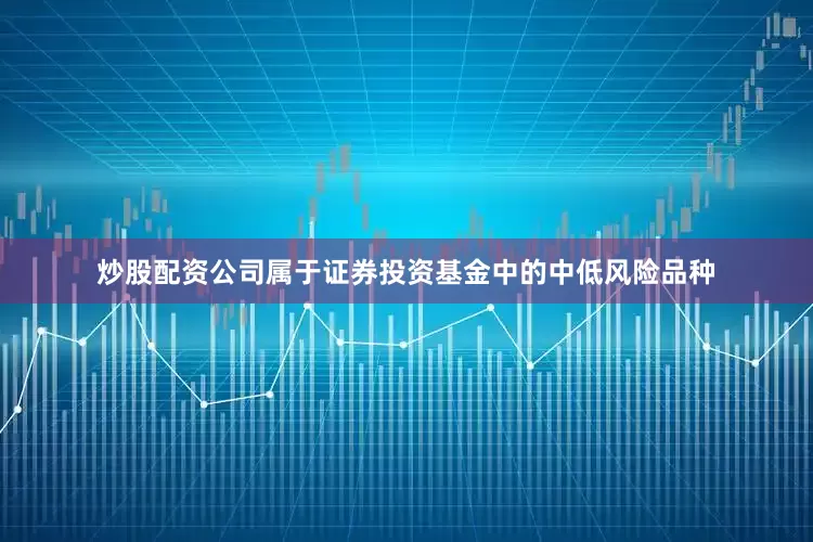 炒股配资公司属于证券投资基金中的中低风险品种